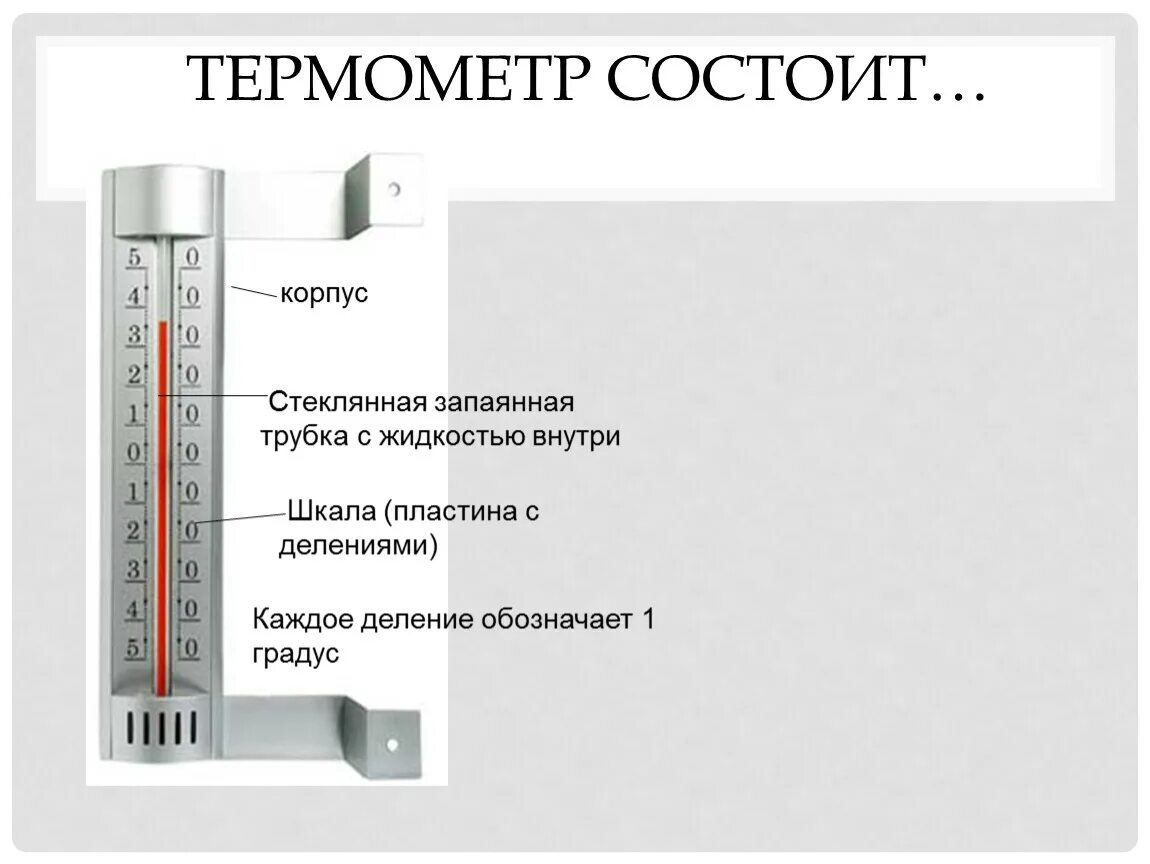 Строение термометра. Термометр состоит из. Термометр состоит. Из чего состоит термометр.