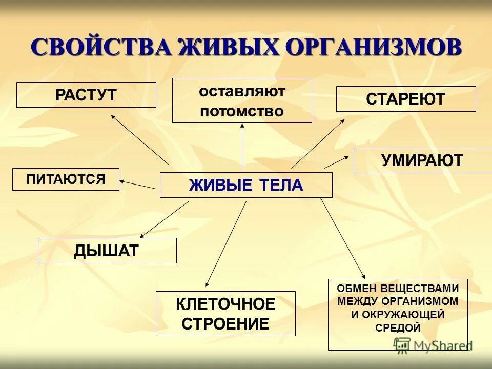 Свойства наблюдаемых живых организмов