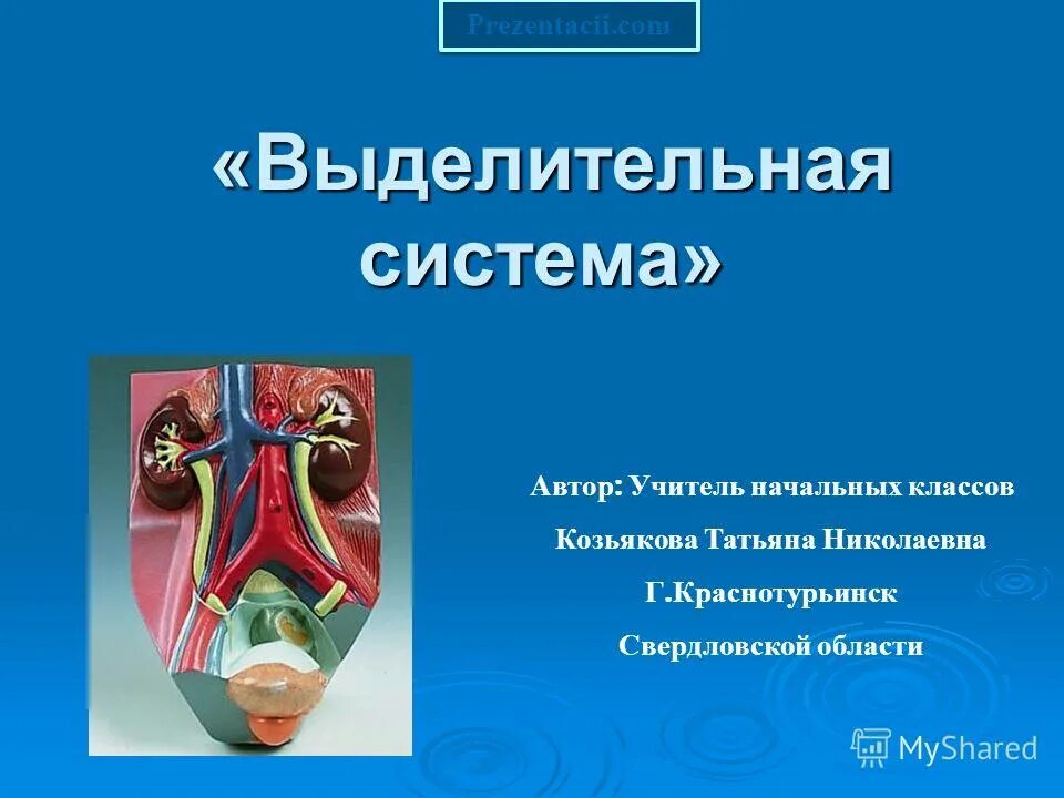 политическая концепция алмонд. автор систем. автор систем. авторы теории политической системы. автор систем.