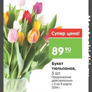 Тюльпаны в окее