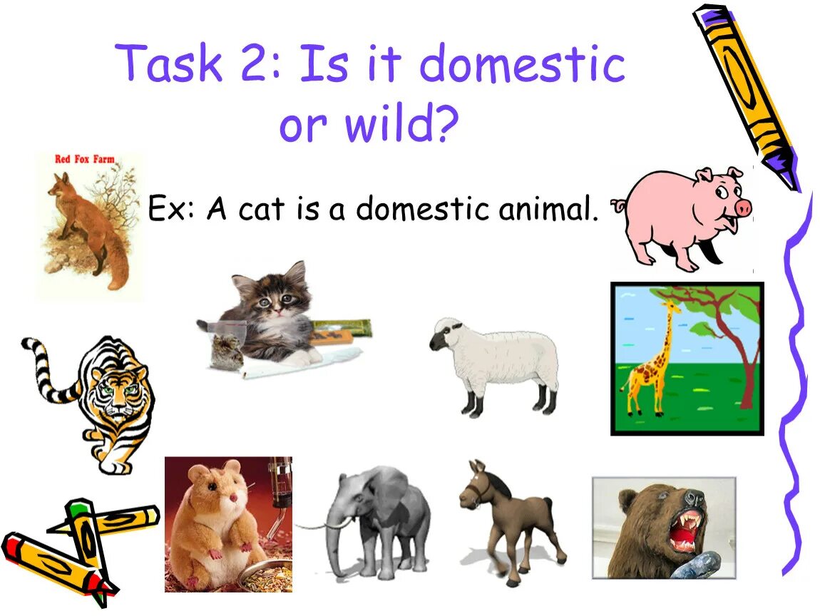 Животные по английскому языку. Animals презентация. Animals урок английского. Открытый урок на тему animals.