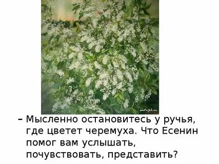 Стих черемуха 3 класс