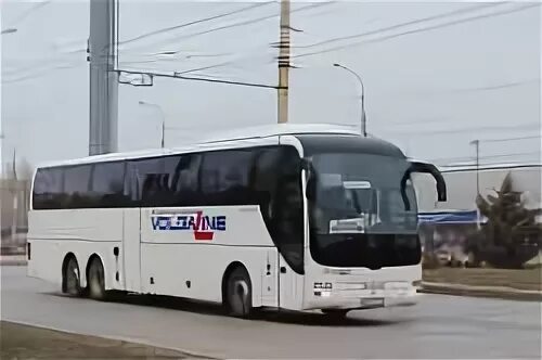 Купить билет на автобус волголайн. Автобус волголайн. Автобус ман ВОЛГАЛАЙН. Волга лайн автобусы. ТК "ВОЛГАЛАЙН".