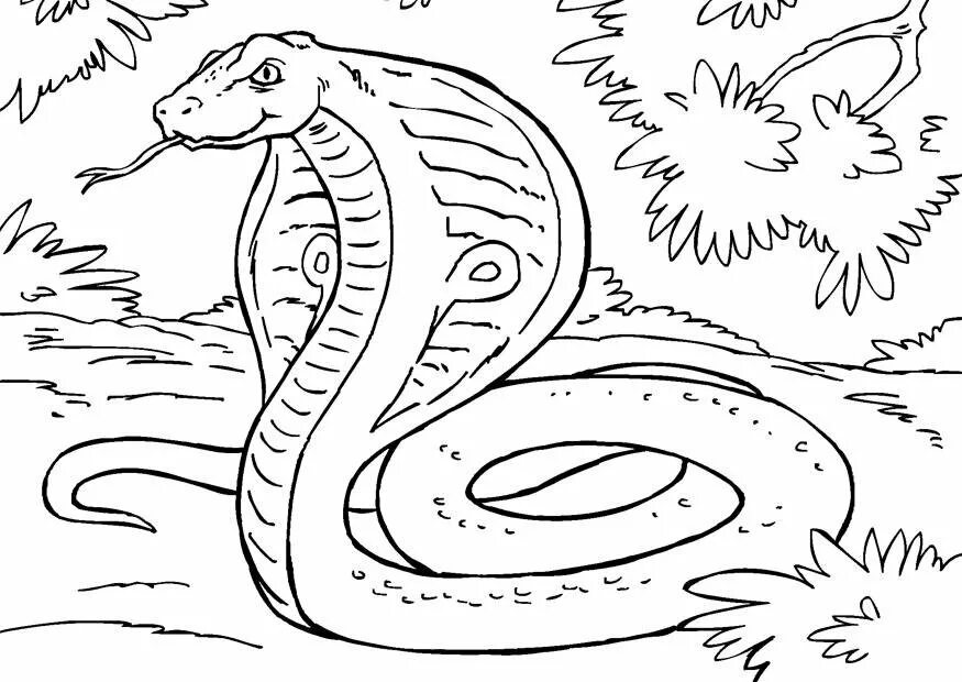 Змея раскраска. Змея раскраска для детей. Раскраски змей. Раскраска змеи для детей. Раскраска змей для детей