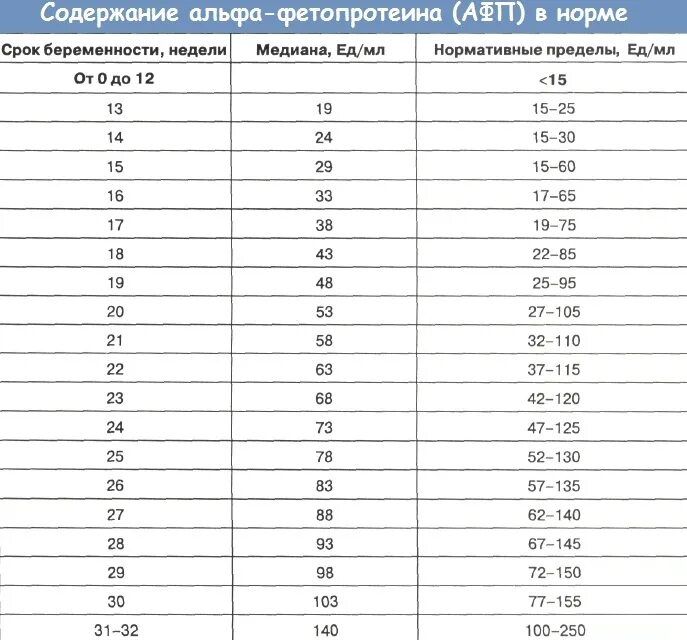 Срок беременности 21 неделя