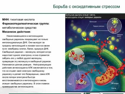 Кислоты механизм действия