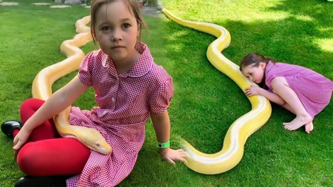 Девочка змейка. Девочка и питон. Домашняя змея у девочки. Желтый питон и девушка.