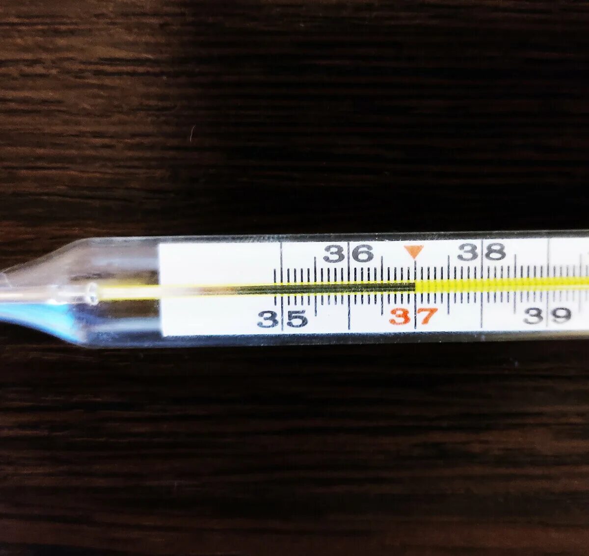 Градусник ртутный 37.8. Градусник ртутный с температурой 36 6. Градусник ртутный 38.6. Градусник ртутный 36.8.