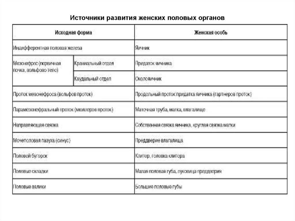 Женская половая система. Источники развития. Источниками развития внутренних женских половых органов являются. Источники развития органов женской половой системы. Развитие женских половых органов органов. Развитие органов женской половой системы