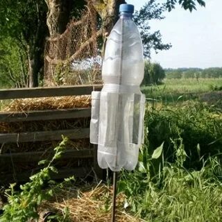 Как избавиться от кротов своими руками