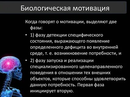 Биологические мотивы