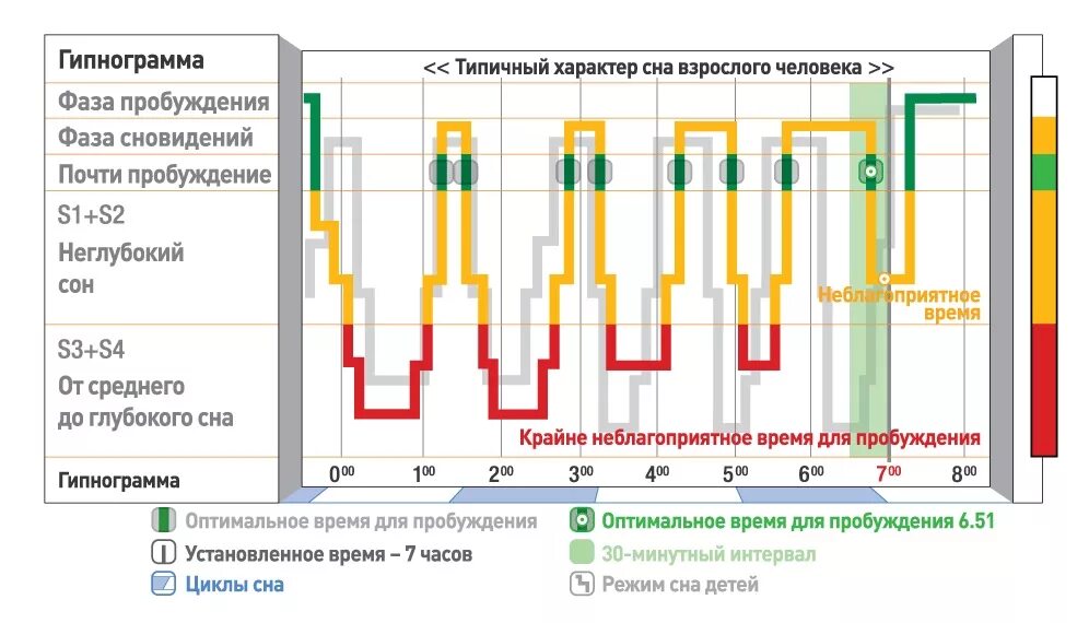 Фазы сна в какую просыпаться. Фазы сна схема. фазы сна человека диаграмма. фазы быстрого и медленного сна таблица. длительность фаз сна.