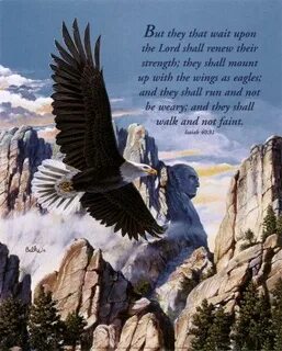 The wings of eagles