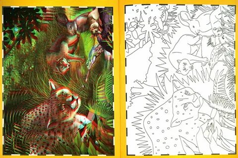 Coloring 3d