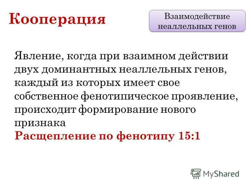 Формы взаимодействия аллельных и неаллельных генов. Формы взаимодействия аллельных и неаллельных генов