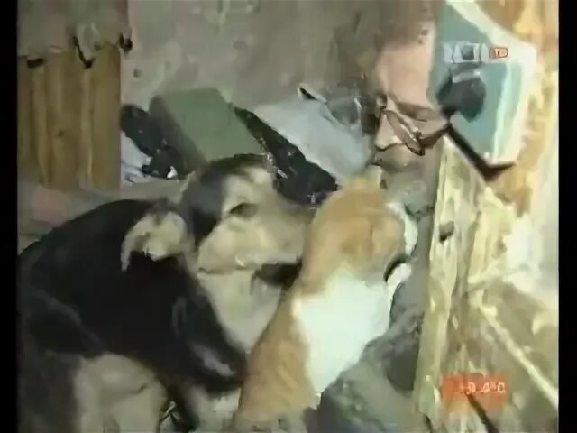Передача хроники