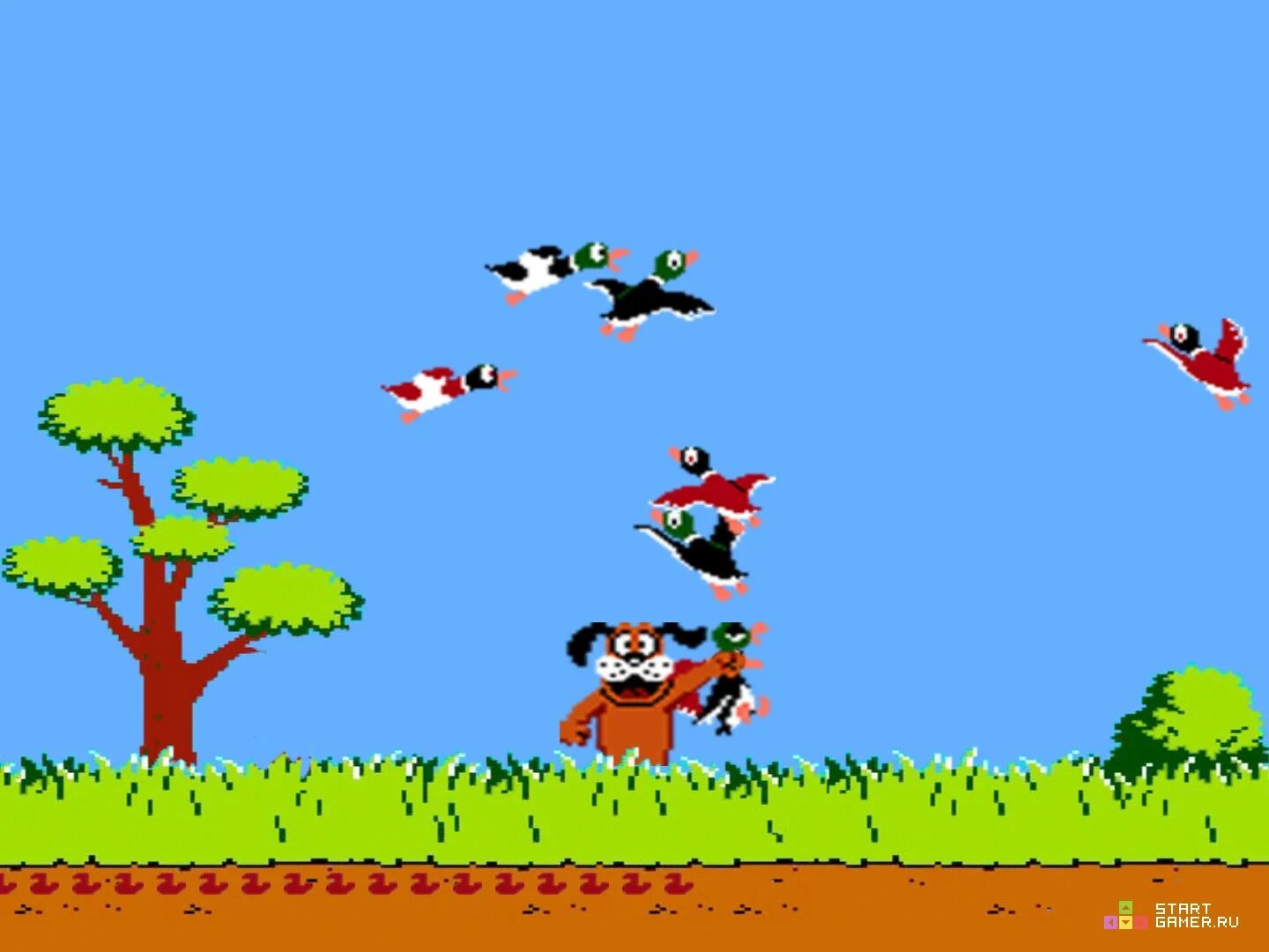 Игра охота денди. Duck Hunt (Утиная охота). Duck Hunt игра. Дак Хант Денди. Игра утки на Денди.