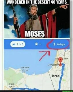 Moses memes