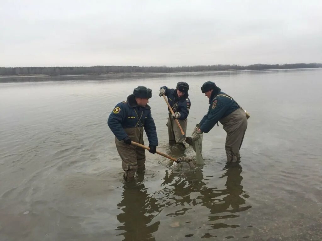 Нападение реки. Загрязненная река Обь. Загрязнение Оби в Новосибирске. Разлив Оби. Загрязнение реки Оби.