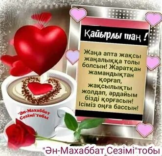 Студенттерге арналған порно сериясы