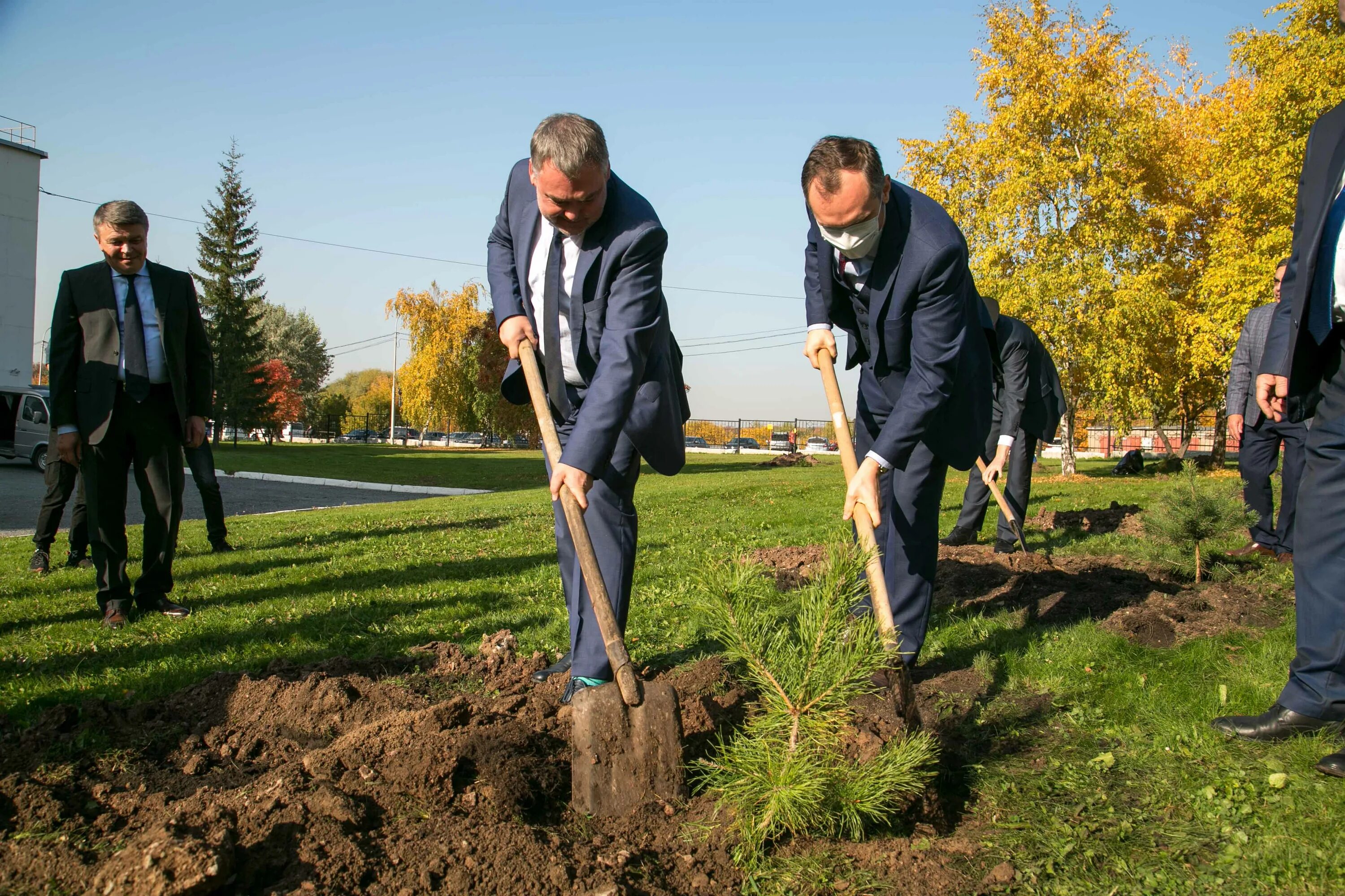 Посадив парке 4 дерева