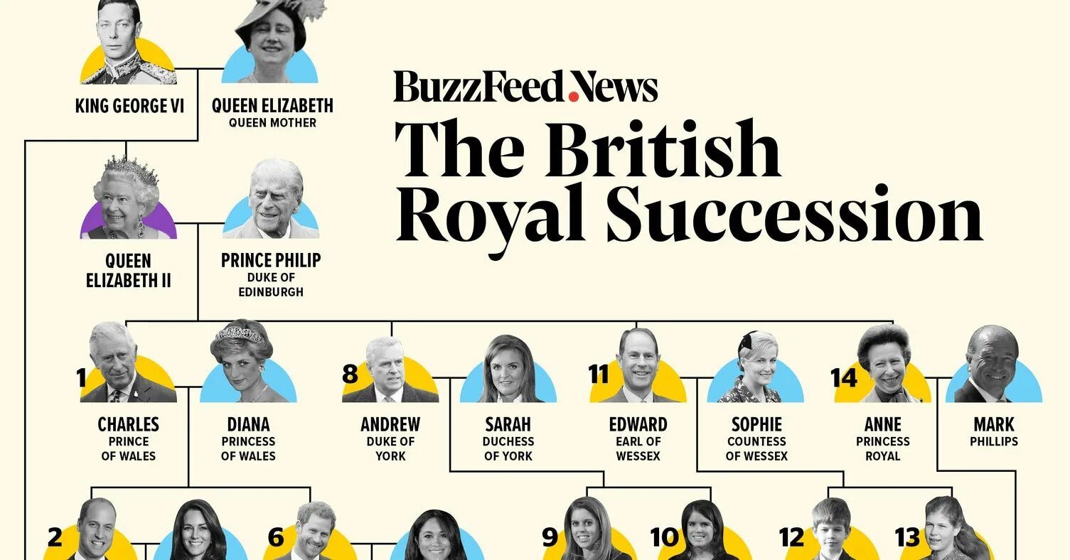 Royal Family line of succession. Королевская семья Великобритании Древо. British line of succession. Royal Family line of succession 2022. Spotlight 5 family