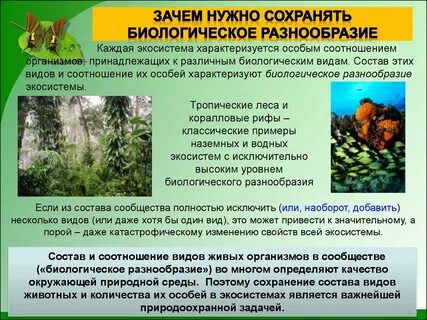 Категории сохранения видов