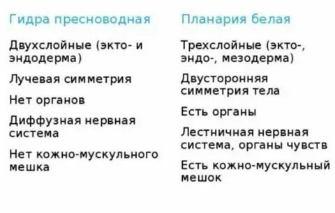 Сравнительная характеристика гидры и белой планарии таблица