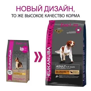 Рис собакам