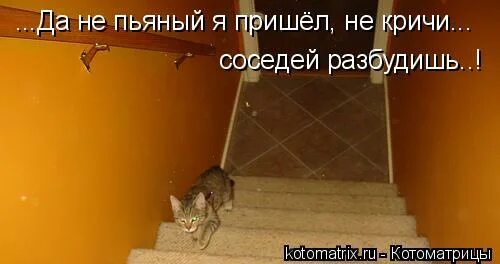 не кричи разбудишь всех