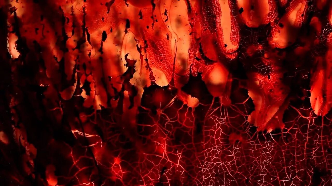 Pretty blood