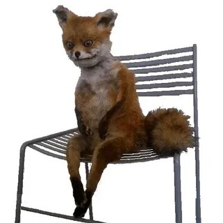 i?id=0e7c63e62213b9818b5fc899e5598600320