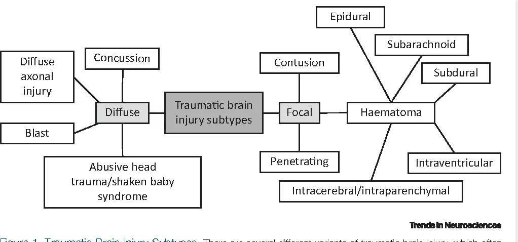 Classification of traumatic injury. Traumatic Brain injury classification. Classification of traumatic injury Pediatrics.