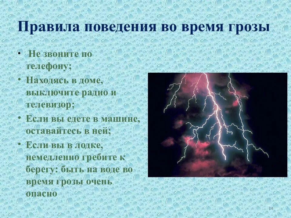 Поведение явления