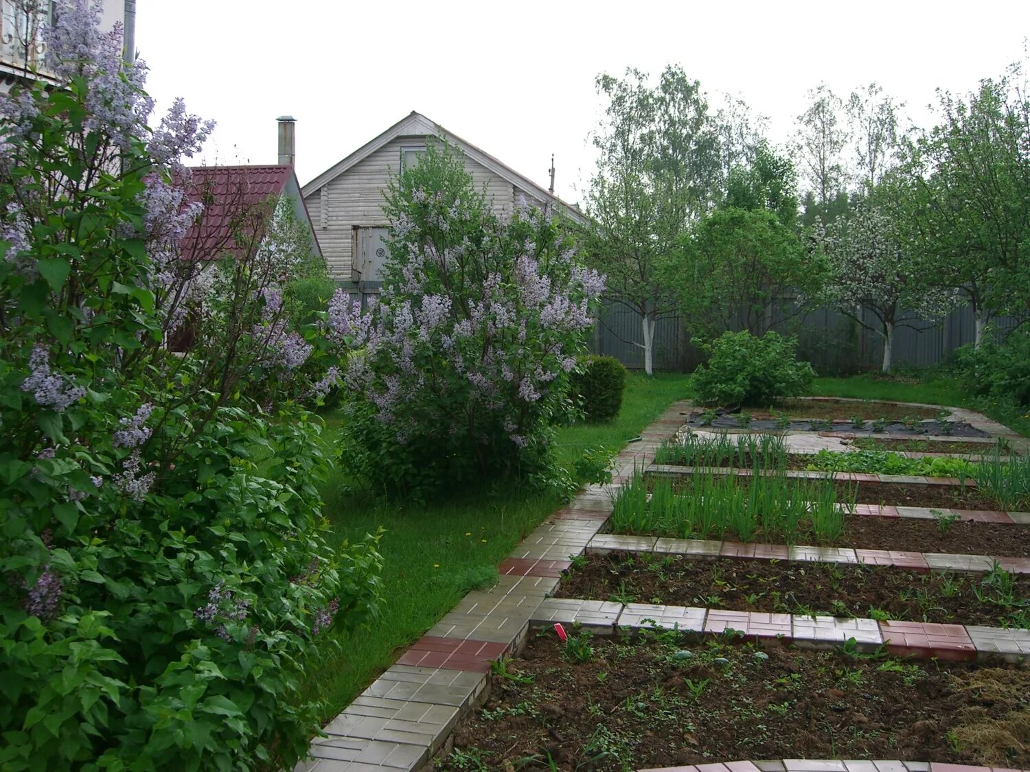 Зонировать участок живой изгородью. Садовые товарищества железногорск красноярский край. Сот сад. Сот сад. Снт сталь среднеуральск.