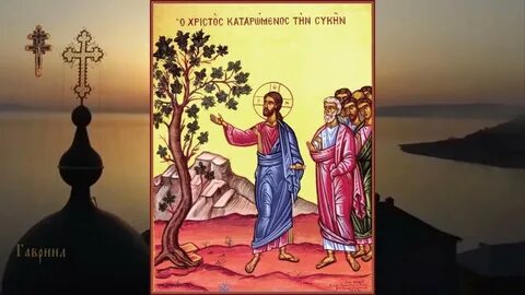Евангелие дня страстной понедельник