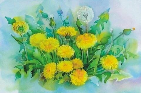 Одуванчики развитие речи средняя группа