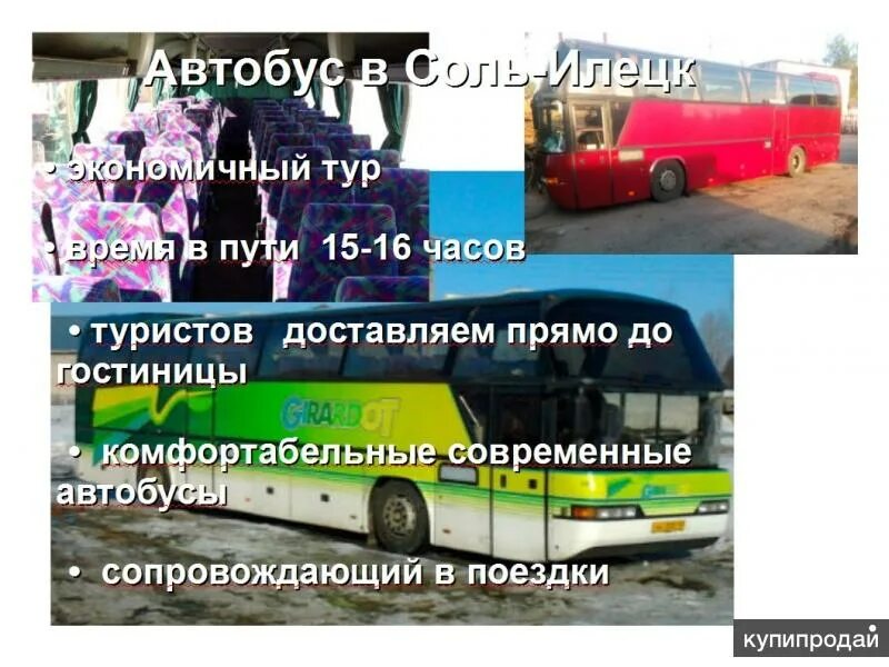 Автобус в соль Илецк. Автобусы в соль Илецк из Перми. Автобус Пермь соль Илецк. Автобус до соль Илецка.