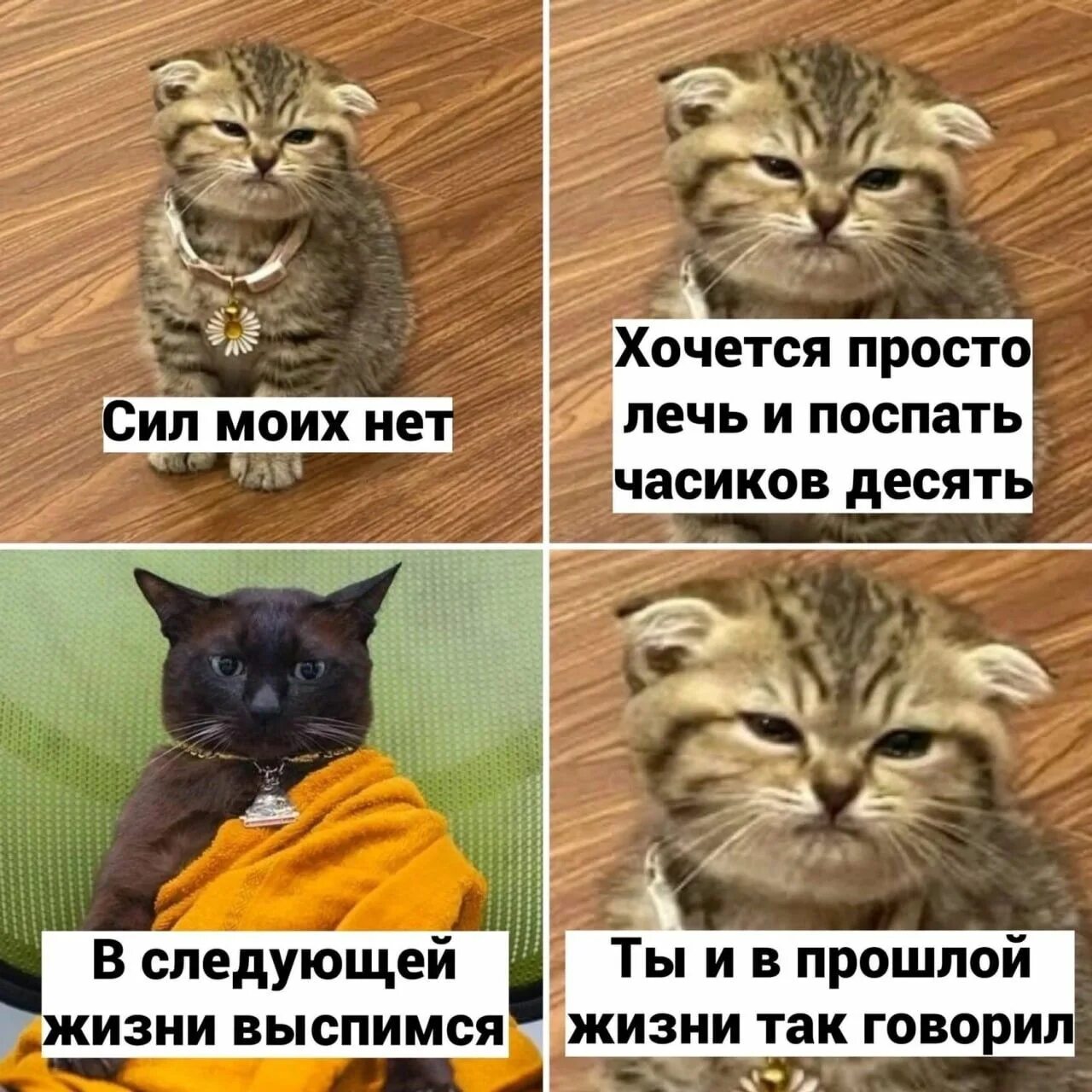 Как мало тех с кем хочется проснуться стих. Хочется просто лечь в кому. Завернуться в плед. Безбашенные планы на выходные. Стих как много тех.