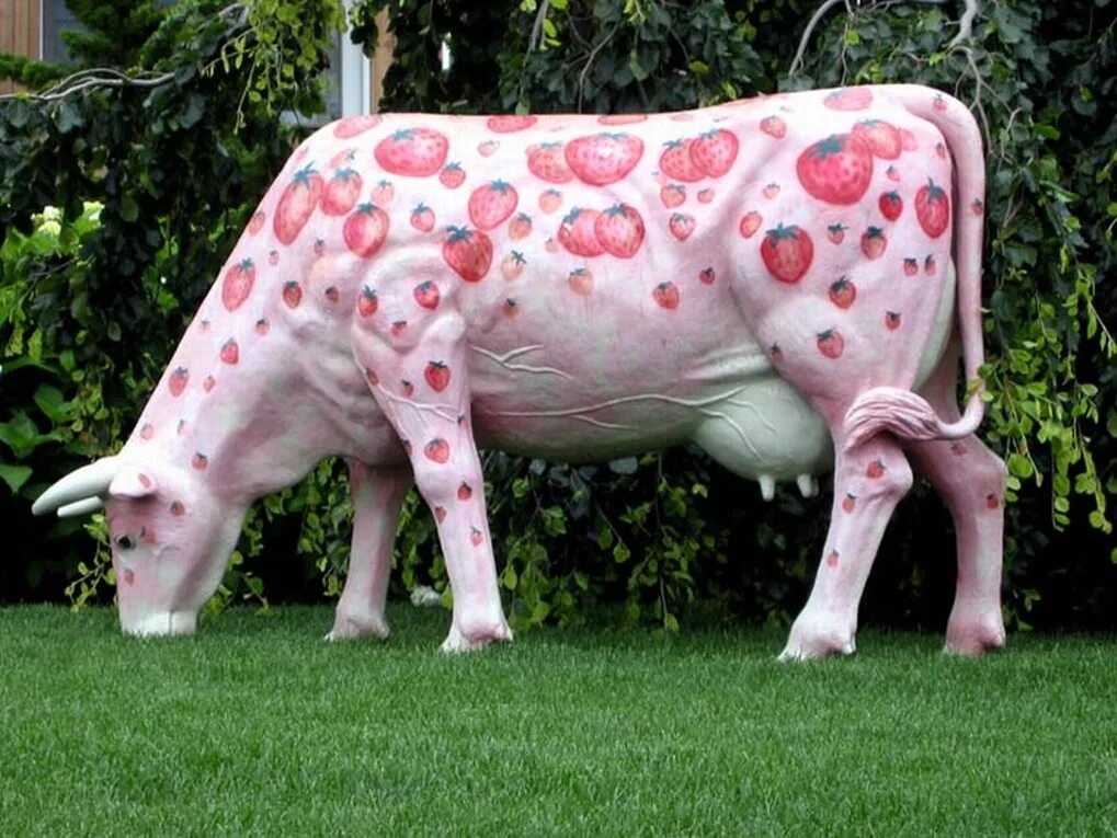 Порода Айова теленок. Необычная корова. Розовая корова. Корова с необычной расцветкой. Сколько стоят коровки
