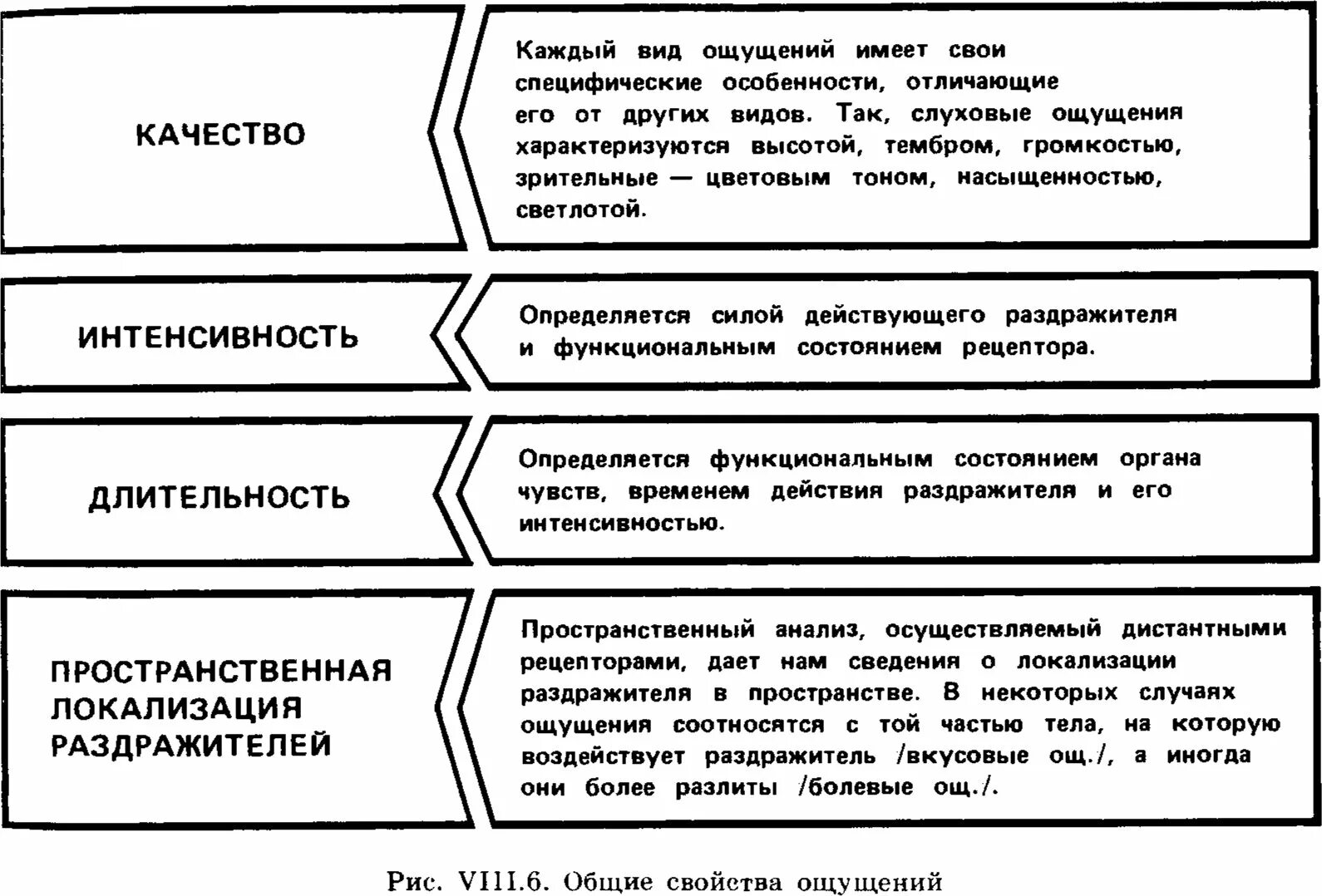 Свойства процесса ощущения. Ощущения характеризуются. Пространственная локализация ощущений пример. Ощущения характеризуются. Ощущения характеризуются.