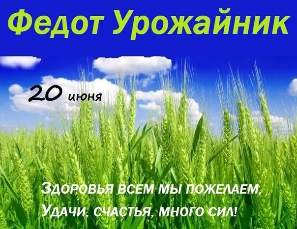 20 июня 2019 г. Федот урожайник (Федот - тепло даёт). Федот урожайник (народный праздник).. Федот урожайник 20 июня. 20 Июня день.