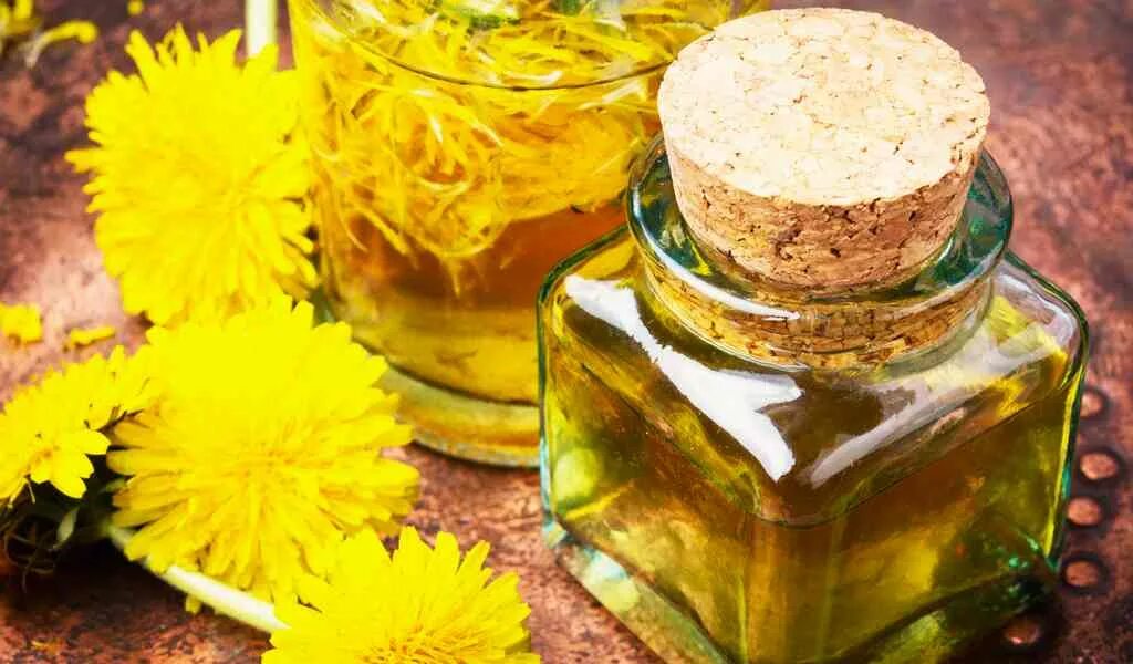 Одуванчики из крема. Одуванчиковое масло. Настой одуванчика. Одуванчик лекарственный настой. Лекарство из одуванчиков.