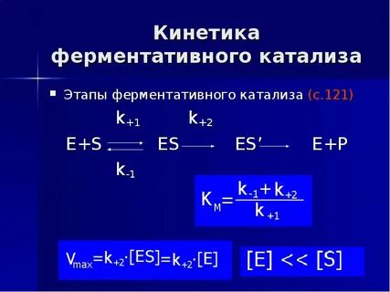 Ферментативный катализ