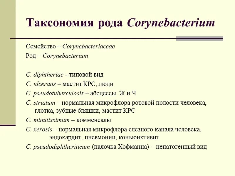 Основной источник инфекции при дифтерии. Дифтерия таксономия. Факторы патогенности c. Дифтерийная палочка характеристика. Бактерии возбудители респираторных инфекций.