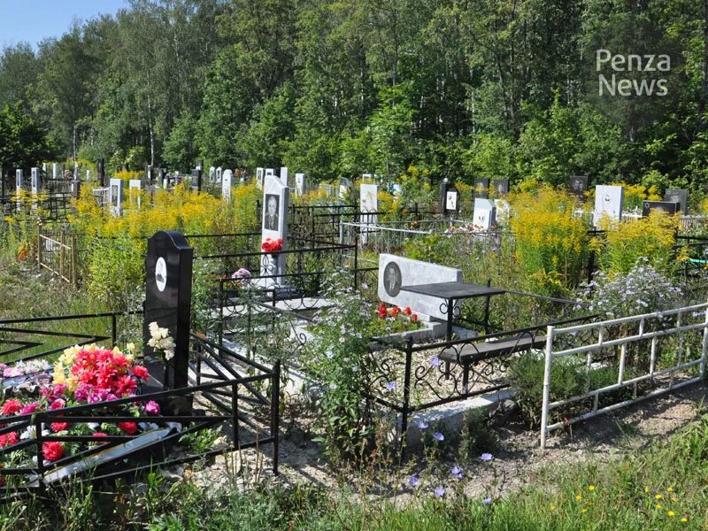 Каменское кладбище превратили в свалку