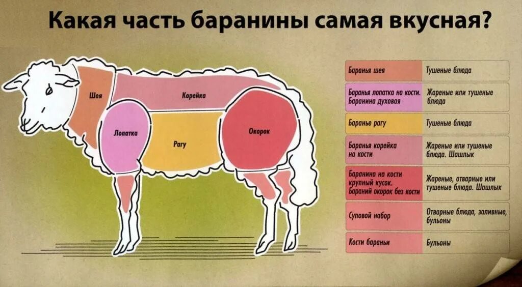 С какого возраста можно говядину