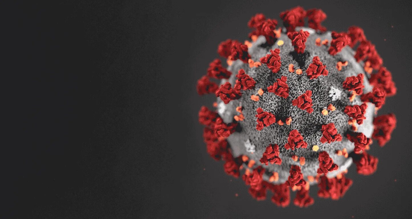 Современный ковид. 59 Coronavirus. Mis-c посткоронавирусный. Стоп коронавирус картинки. Ковид картинки.