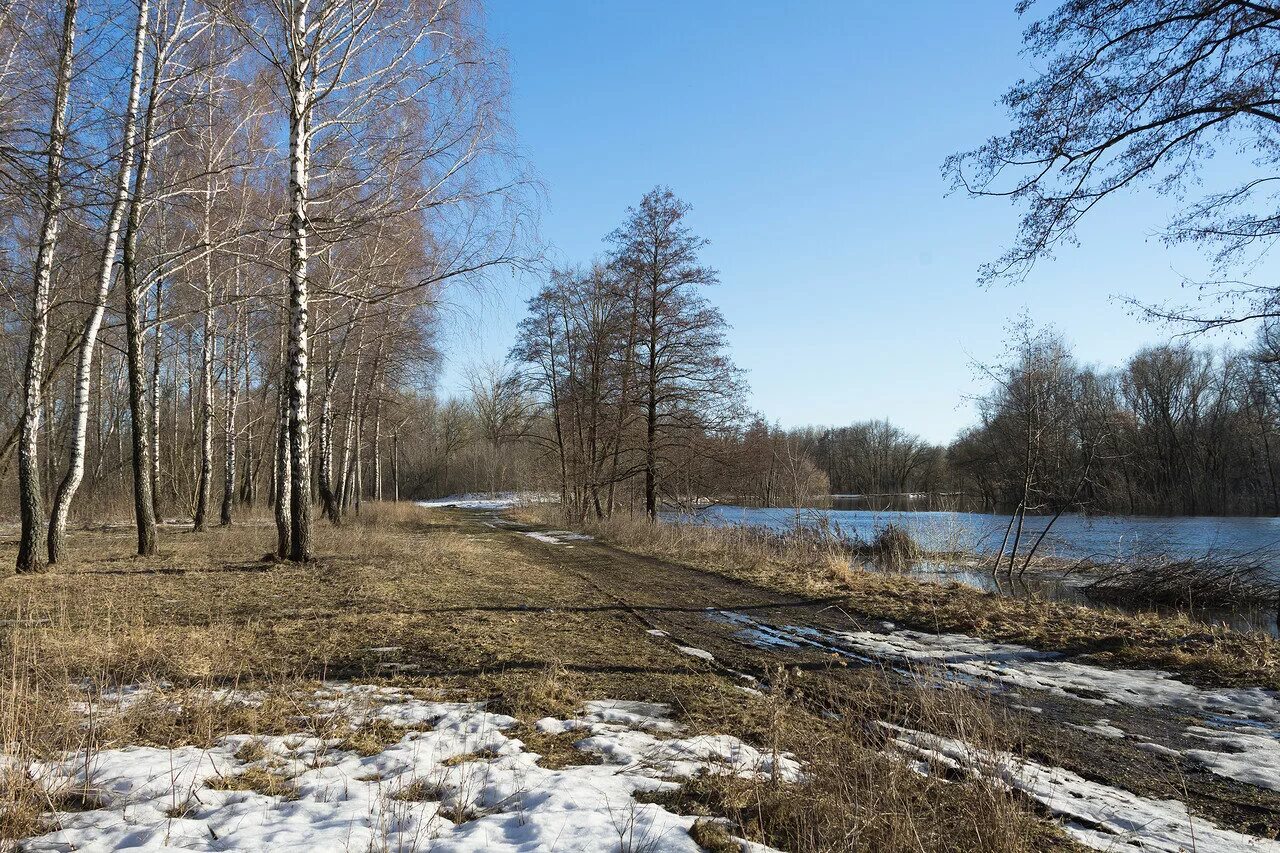 позднюю пору.