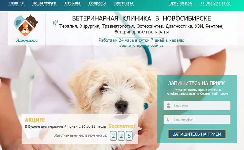 Ветеринарная клиника в Новосибирске. Акции в ветеринарных клиниках. Клиника для животных Новосибирск. Ветеринарная клиника Москва.
